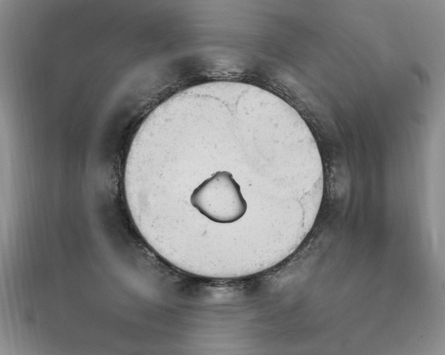 X0000112780370200908201534