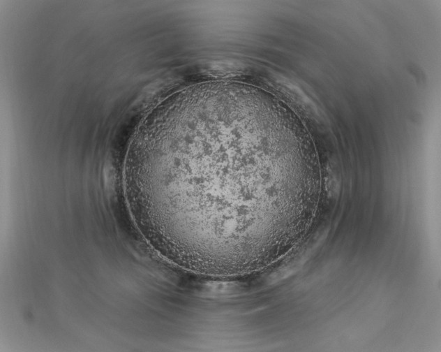 X0000112780371200908201534