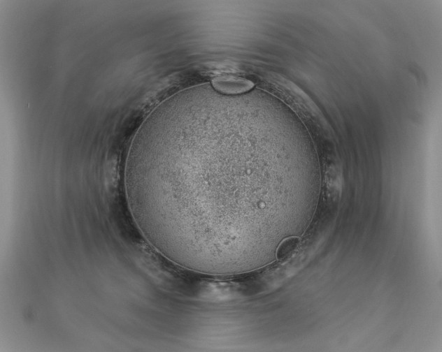 X0000112780372200908201534