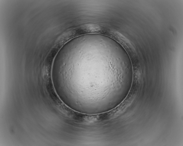 X0000112780373200908201534