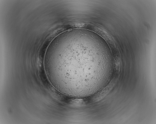 X0000112780374200908201534