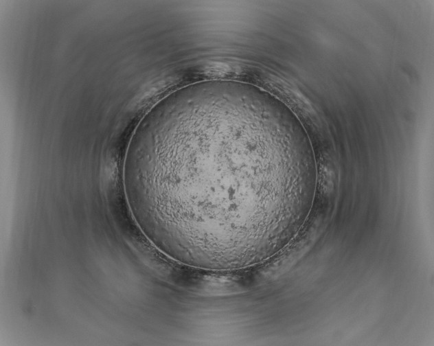 X0000112780375200908201534