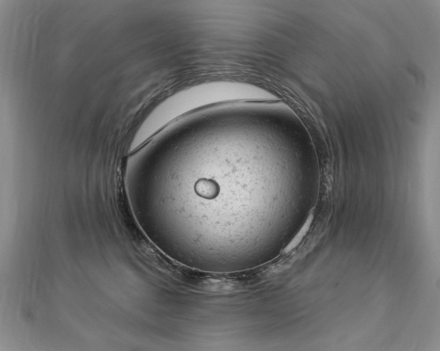 X0000112780376200908201534