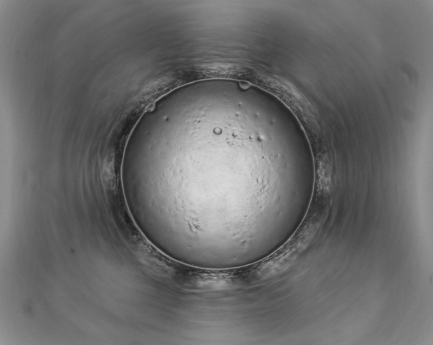 X0000112780377200908201534