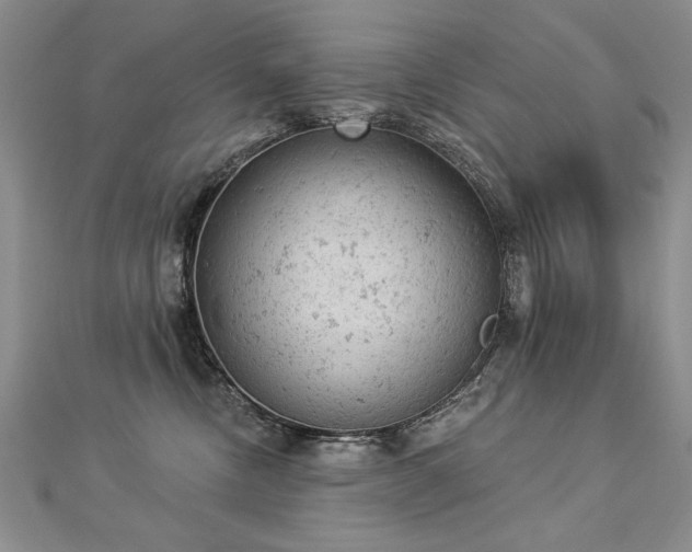 X0000112780378200908201534