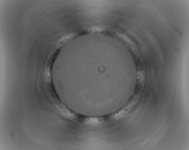 X0000112780381200908201534