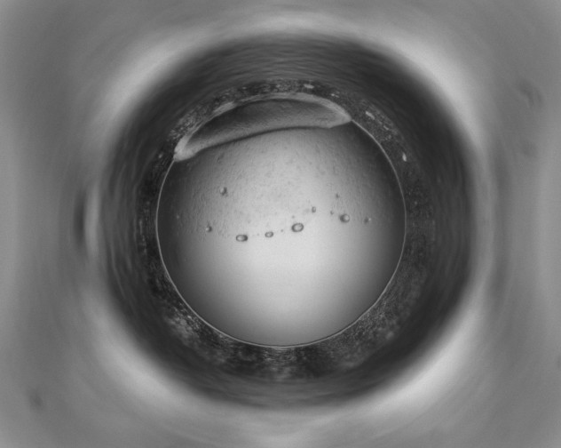 X0000112780382200908201534