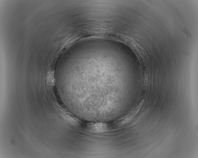 X0000112780383200908201534