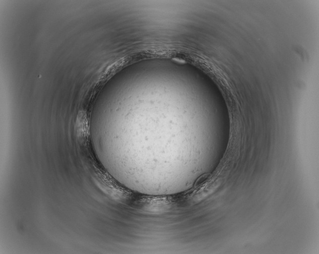 X0000112780384200908201534