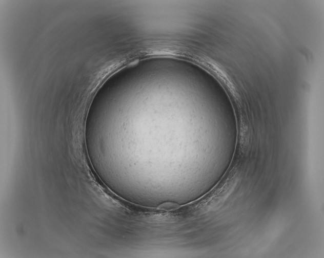 X0000112780385200908201533