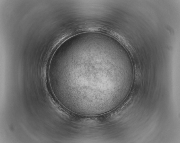 X0000112780386200908201533