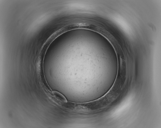 X0000112780387200908201533