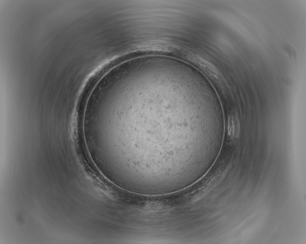 X0000112780388200908201533