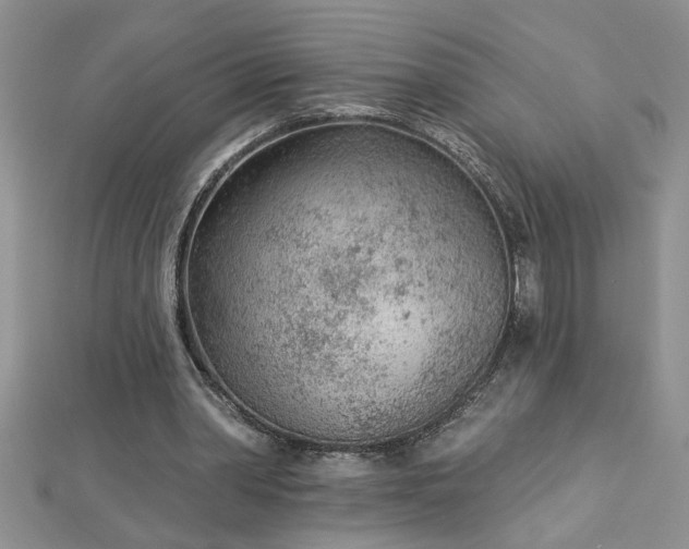 X0000112780390200908201533