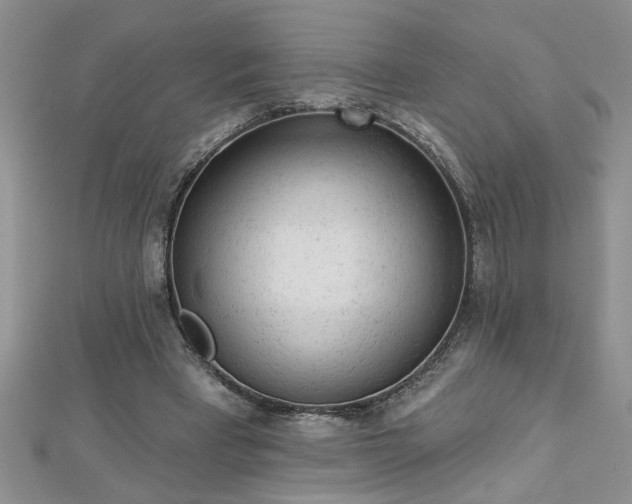 X0000112780393200908201533