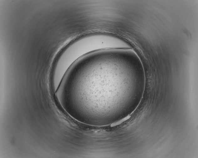 X0000112780395200908201533