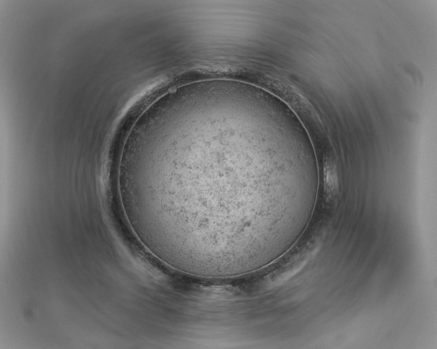 X0000112780396200908201533