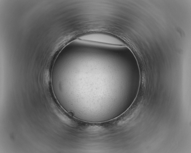 X0000112780397200908201533