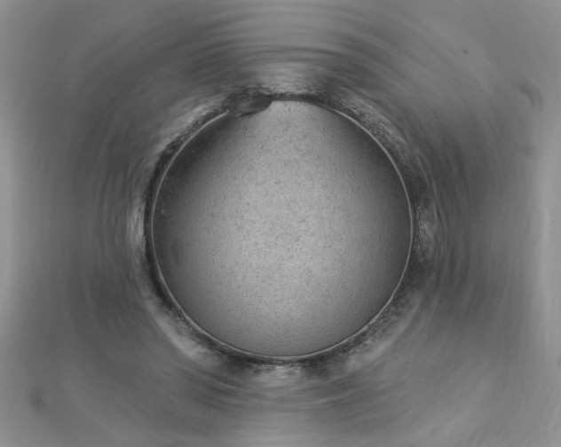 X0000112780398200908201533