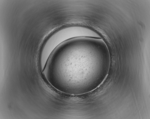 X0000112780399200908201533