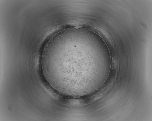 X0000112780404200908201533