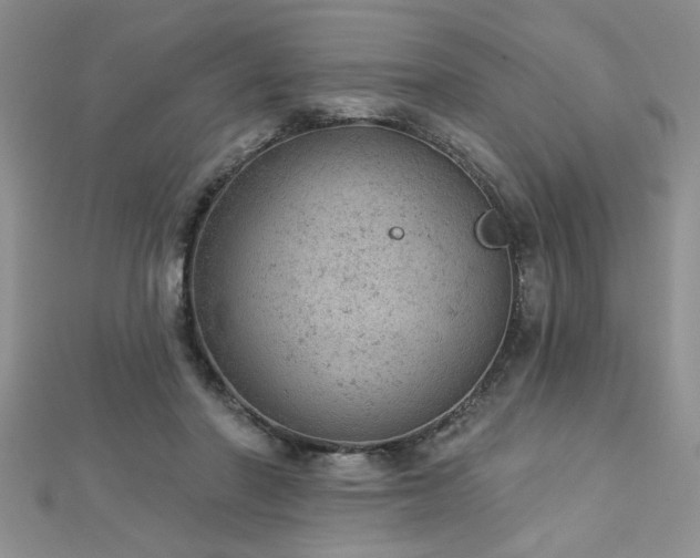 X0000112780406200908201533