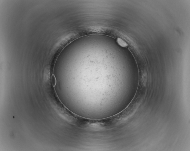 X0000112780407200908201533