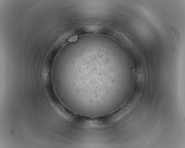 X0000112780408200908201533