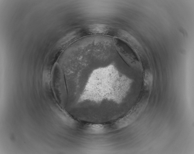 X0000112780409200908201533