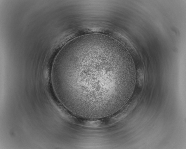 X0000112780410200908201533