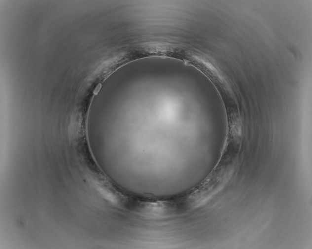 X0000112780411200908201533