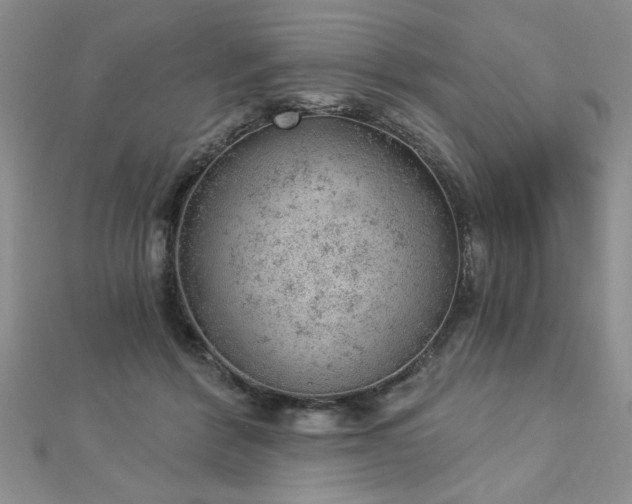 X0000112780412200908201533