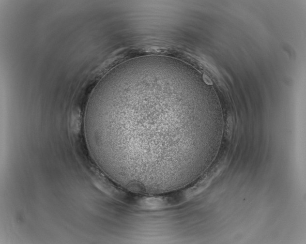 X0000112780413200908201533