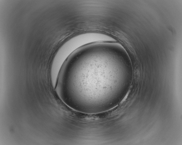 X0000112780415200908201533