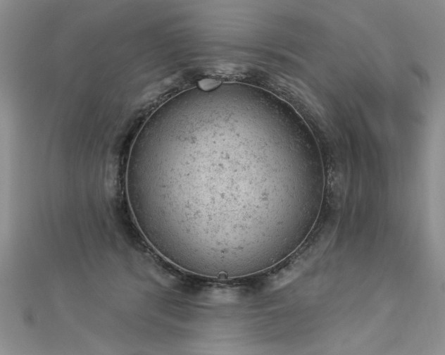 X0000112780416200908201533