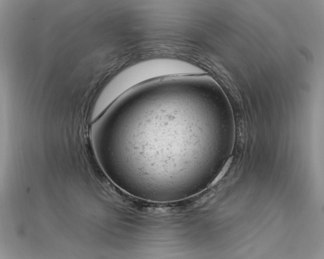 X0000112780419200908201533