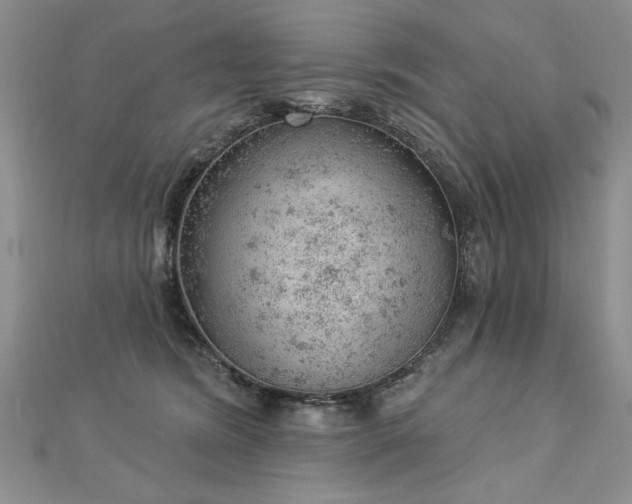 X0000112780420200908201533