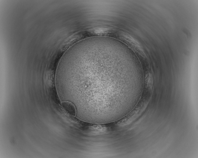 X0000112780421200908201533