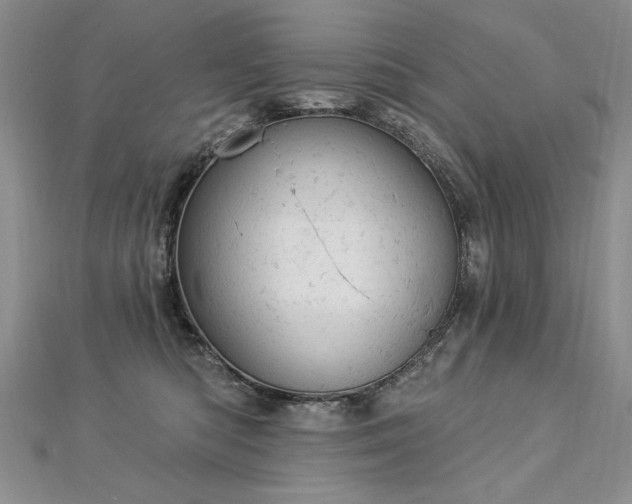 X0000112780422200908201533