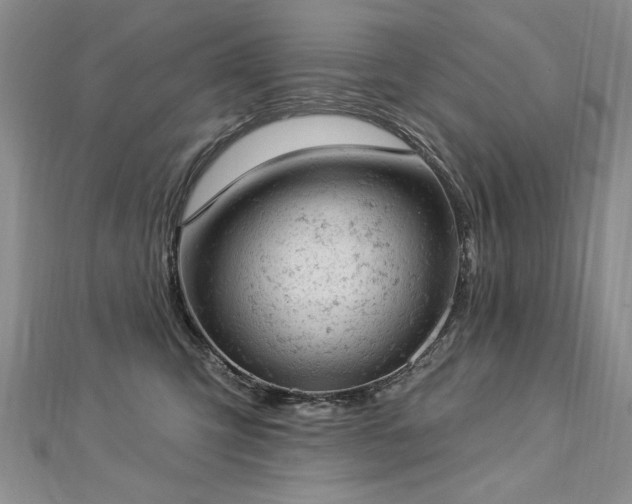 X0000112780423200908201533