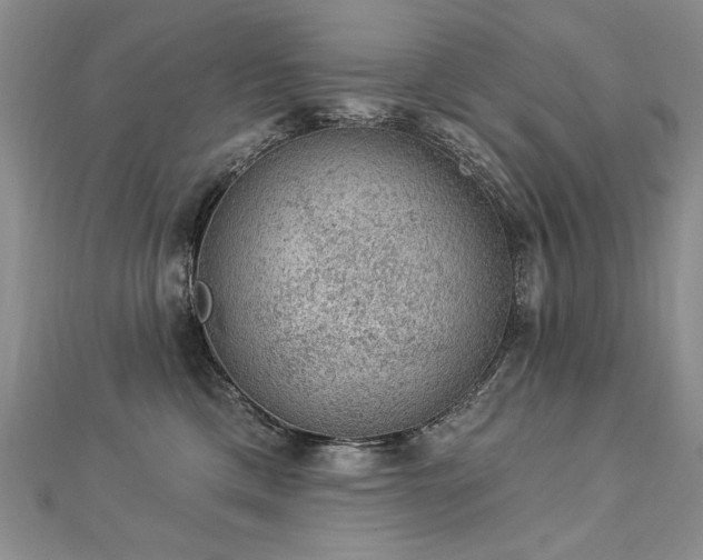 X0000112780425200908201533