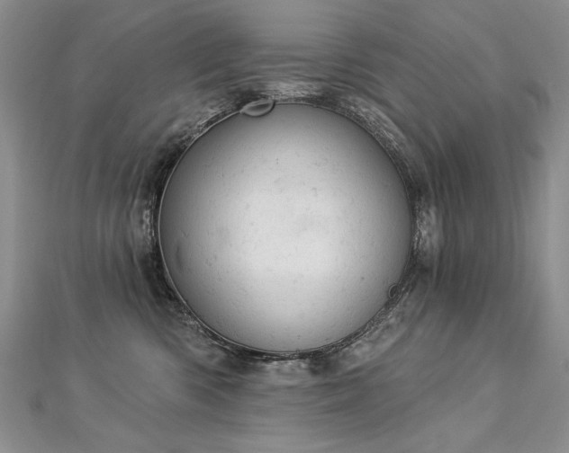 X0000112780426200908201533