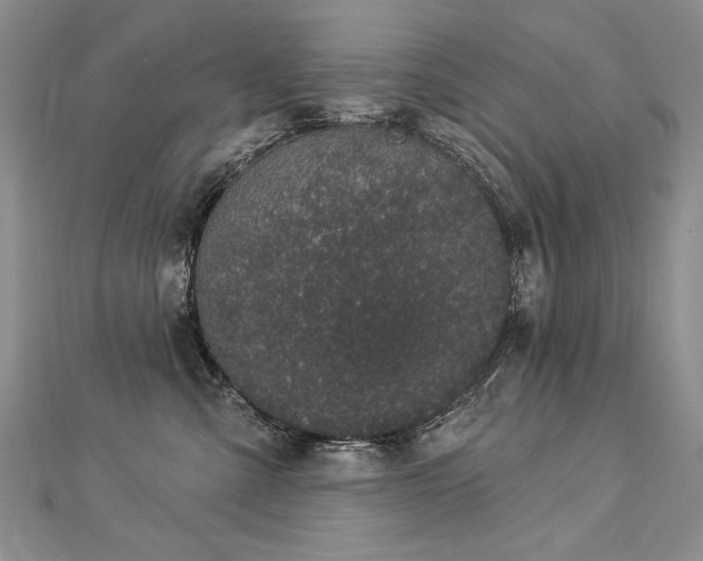 X0000112780427200908201533