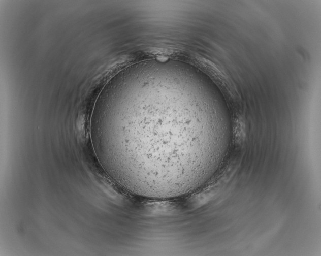 X0000112780428200908201533