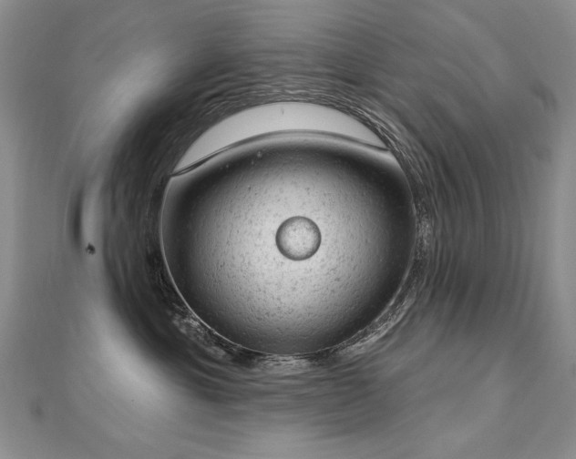 X0000112780429200908201533