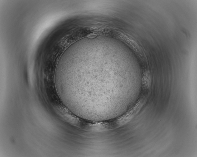 X0000112780430200908201533