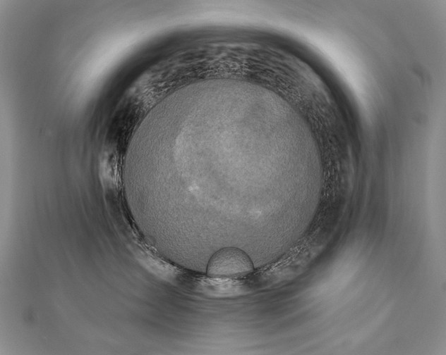 X0000112780431200908201532