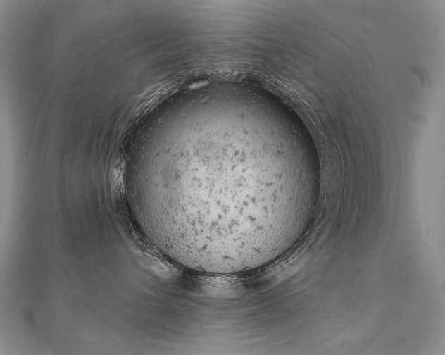 X0000112780432200908201532