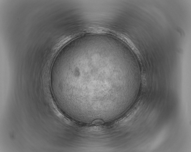 X0000112780433200908201532