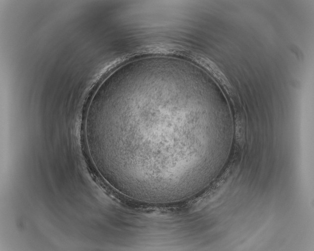 X0000112780434200908201532